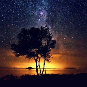 Meet your Posher, Bryan